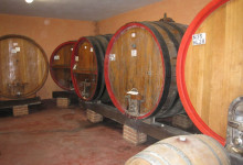 _cantina